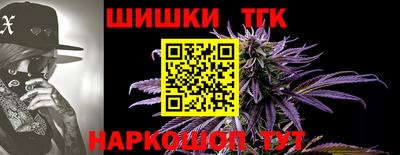 крисы Краснодар
