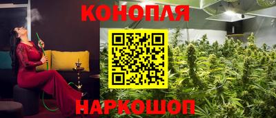 крисы Краснодар