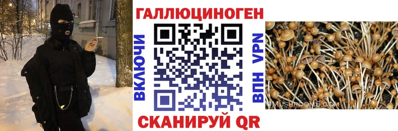 Галлюциногенные грибы ЛСД  нарко площадка наркотические препараты  Кольчугино  что такое  