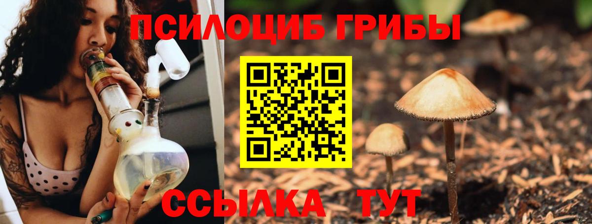 Псилоцибиновые грибы прущие грибы  Вход с VPN  Кольчугино 