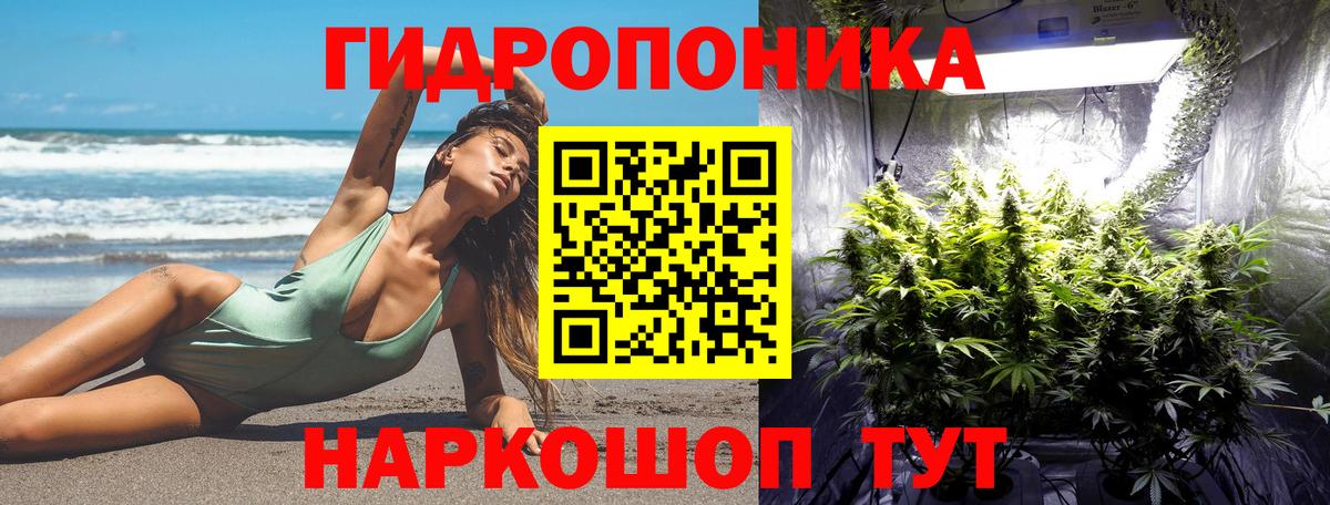 МАРИХУАНА ГИДРОПОН Кольчугино